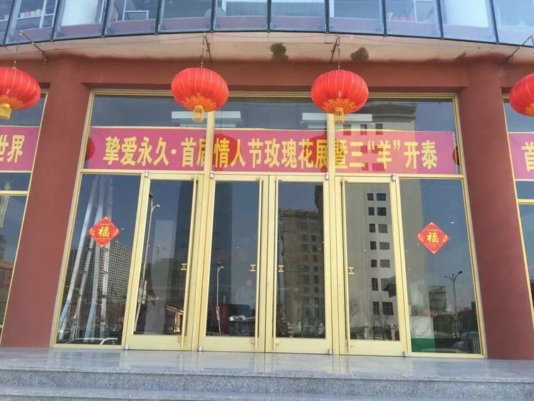 Hoogwaardige thermische isolatie circuitbreaker Aluminium legering commerciële Kfc Shop Front Swing Door